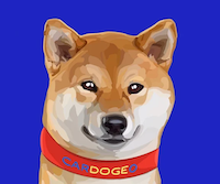 Cardogeo Logo